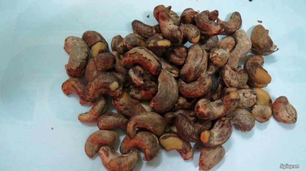 Hạt Điều rang muối - Quà biếu Tết