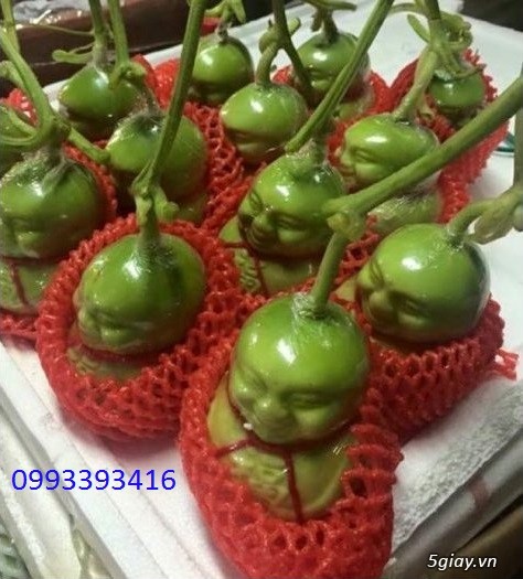 Dưa Lê Thần Tài Giá Rẽ Trưng Tết Phát Tài Phát Lộc - 1