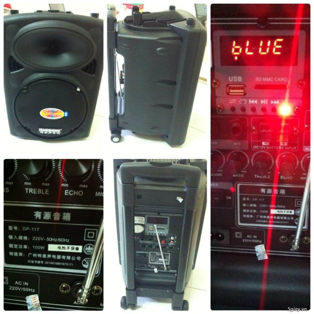 Loa Temeisheng DP 107 model: DP 117