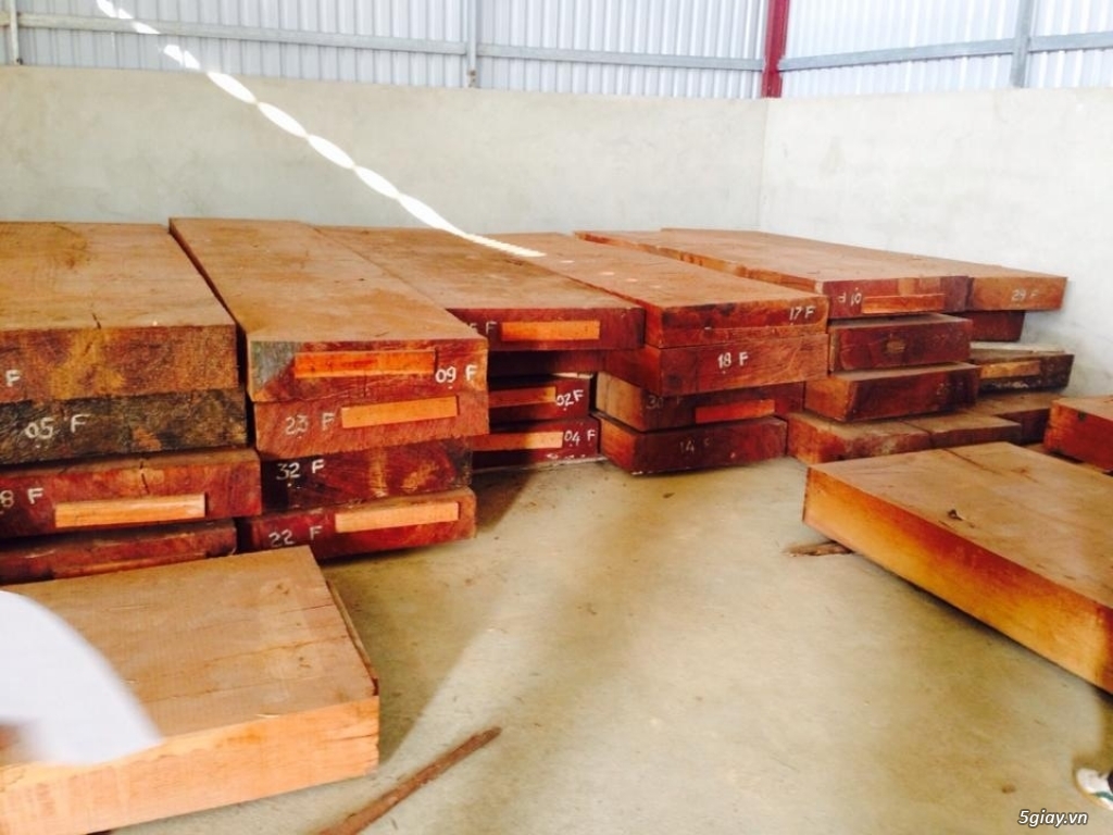 Bán nhiều tấm gỗ Gõ mặt lớn - 1