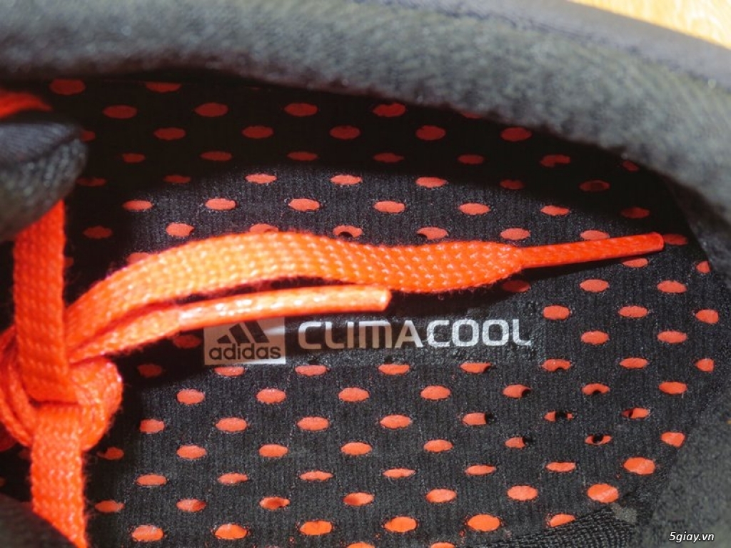 Giày đẹp chơi tết - Adidas CC Freshride xách tay chính hãng new 100% fullbox, hàng hiếm - 5