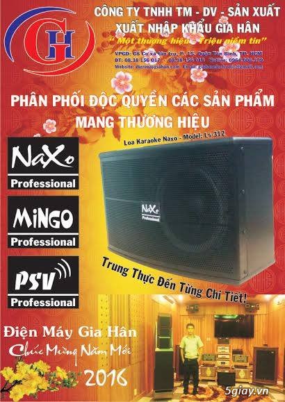 loa karaoke NaXo LS-312