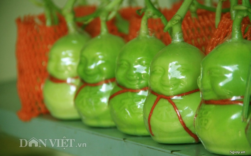 Dưa lê thần tài, dư lê ông thọ sỉ lẻ giá tốt cho tất cả mọi người - 3