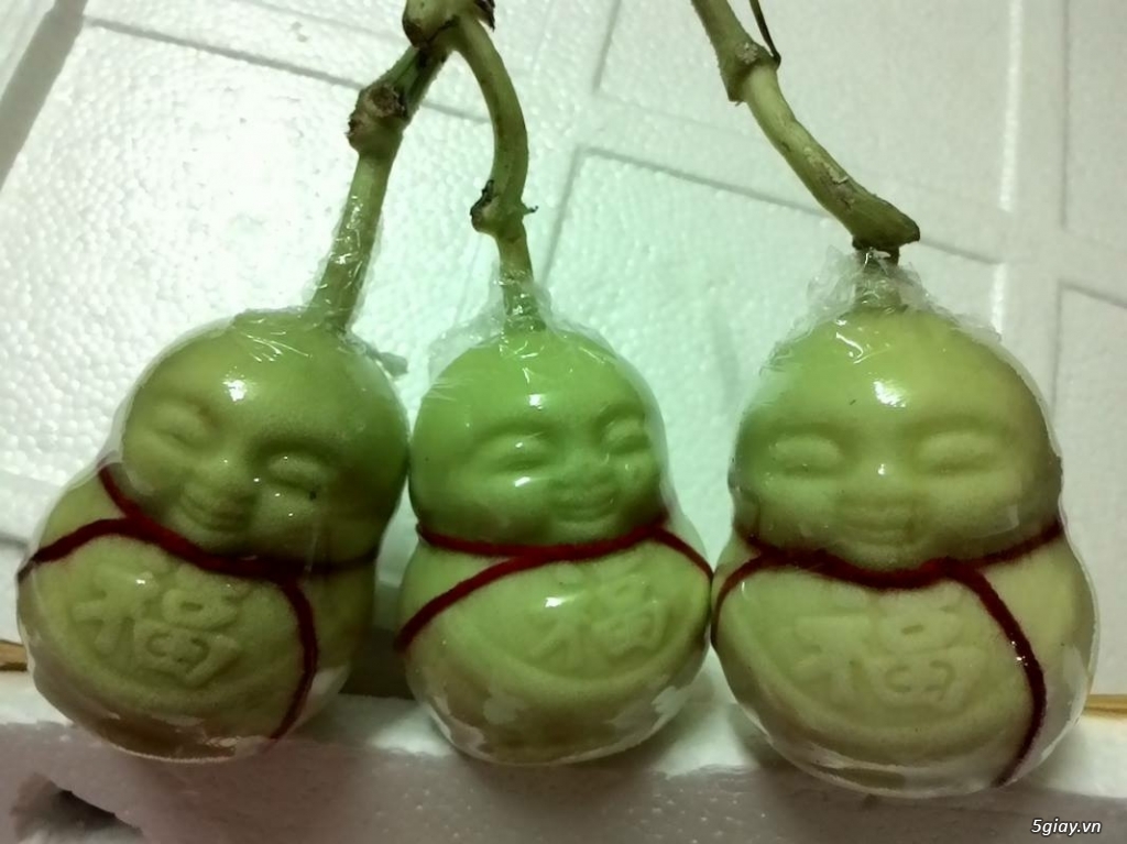 Dưa lê thần tài, dư lê ông thọ sỉ lẻ giá tốt cho tất cả mọi người - 2