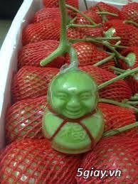 Dưa lê thần tài, dư lê ông thọ sỉ lẻ giá tốt cho tất cả mọi người