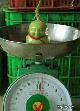 Dưa lê thần tài, dư lê ông thọ sỉ lẻ giá tốt cho tất cả mọi người - 1