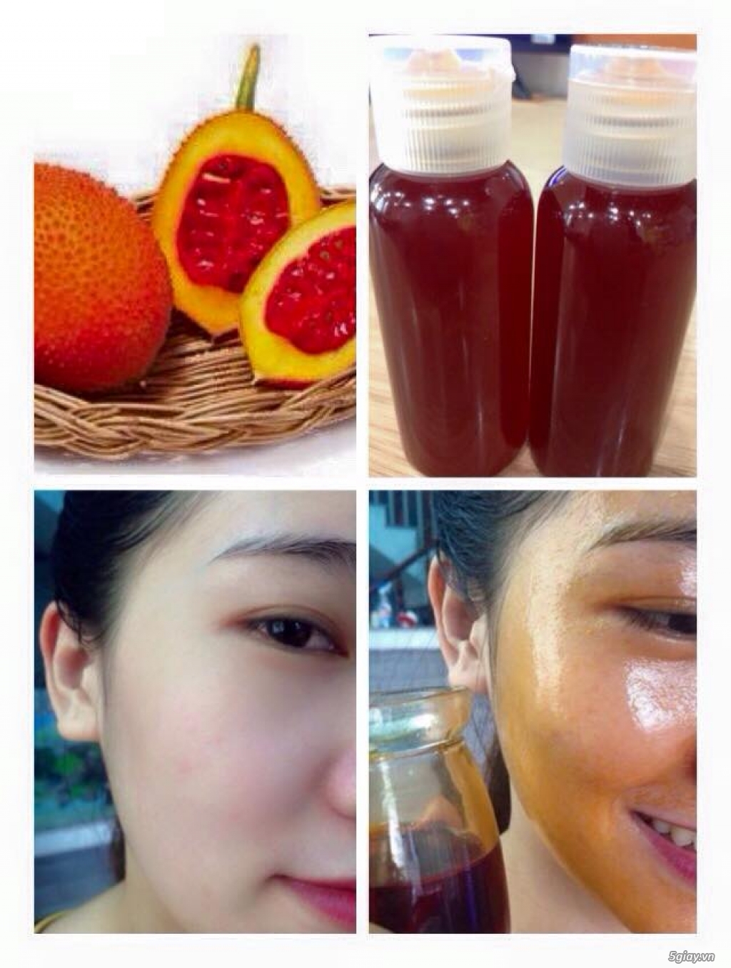 DẦU GẤC NGUYÊN CHẤT 100%