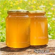 Bán mật ong hoa cà phê - mật ong vườn nguyên chất - 1