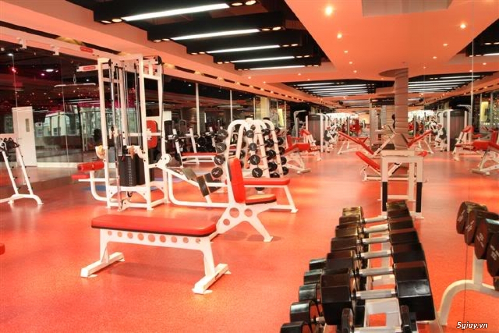 Tuyển nhân viên tư vấn tập thể dục tại phòng tập 5 sao California Fitness & Yoga - 2
