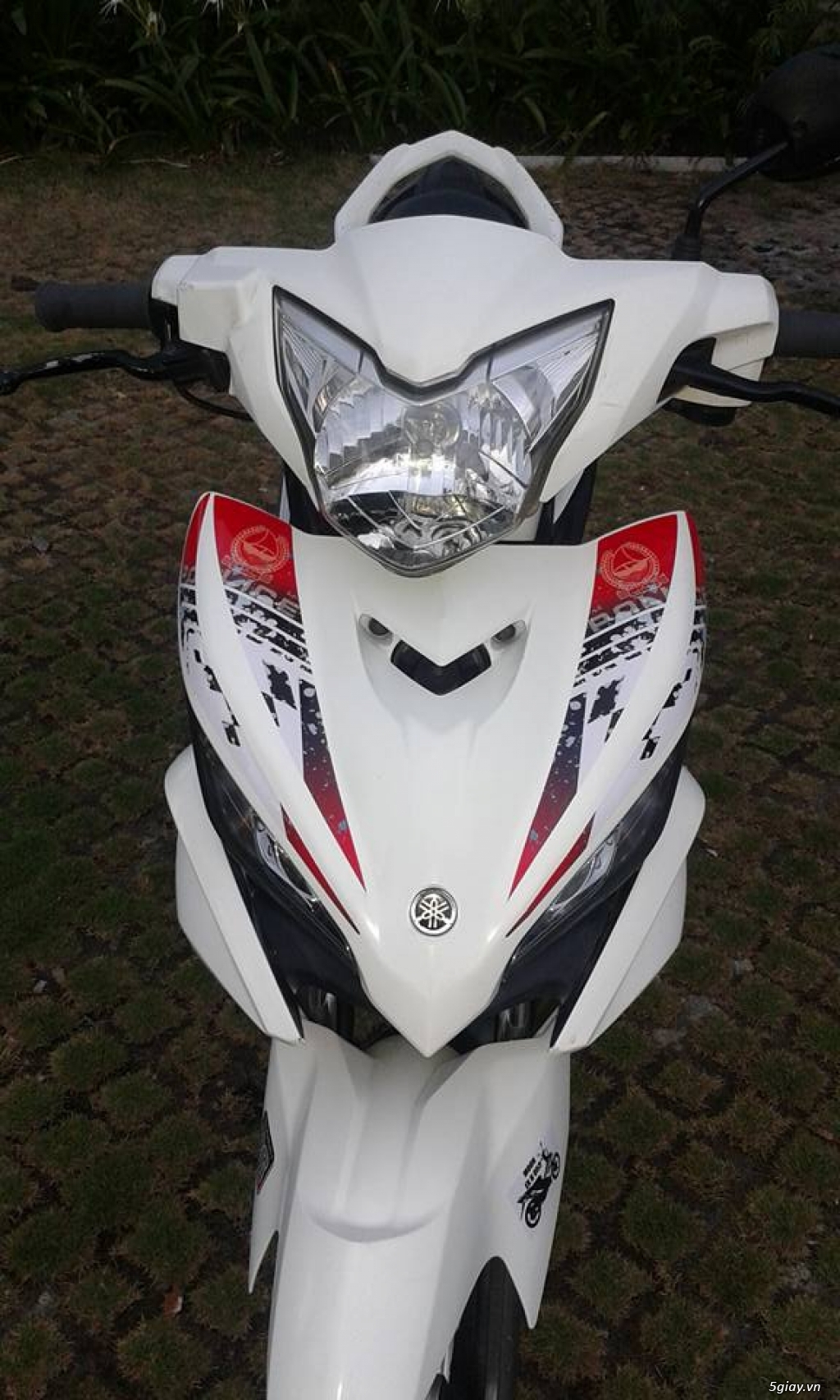 exciter 135 cam xang noi - 3