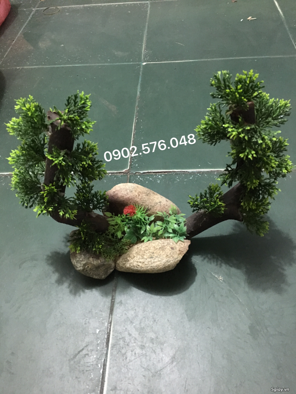 Cây bonsai - 2