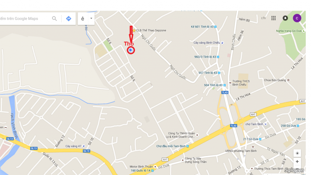 bán thỏ thịt - 4