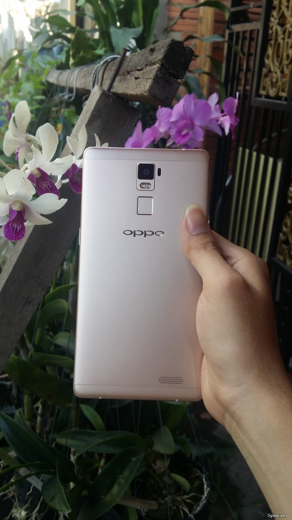 Note 4 bảo hành hãng 6/2016 và Oppo R7 Plus Gold bảo hành hãng 8/2016. - 5