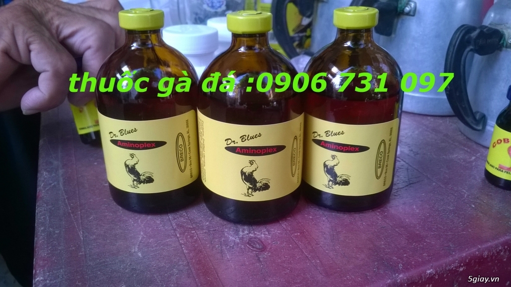 Cung cấp Gà tre lai và thuốc đá cựa sắt cho gà - 13