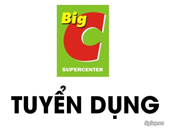 Tuyển nhân viên phát thẻ tủ , quẹt thẻ từ tại hệ thống siêu thị Big C , Metro