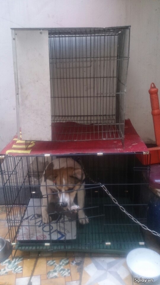 Bán chuồng chó cũ và mới 50k - 400k