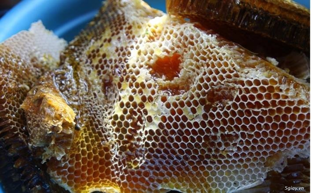 Mật ong nguyên chất nuôi thủ công tại rẫy gia đình. - 1