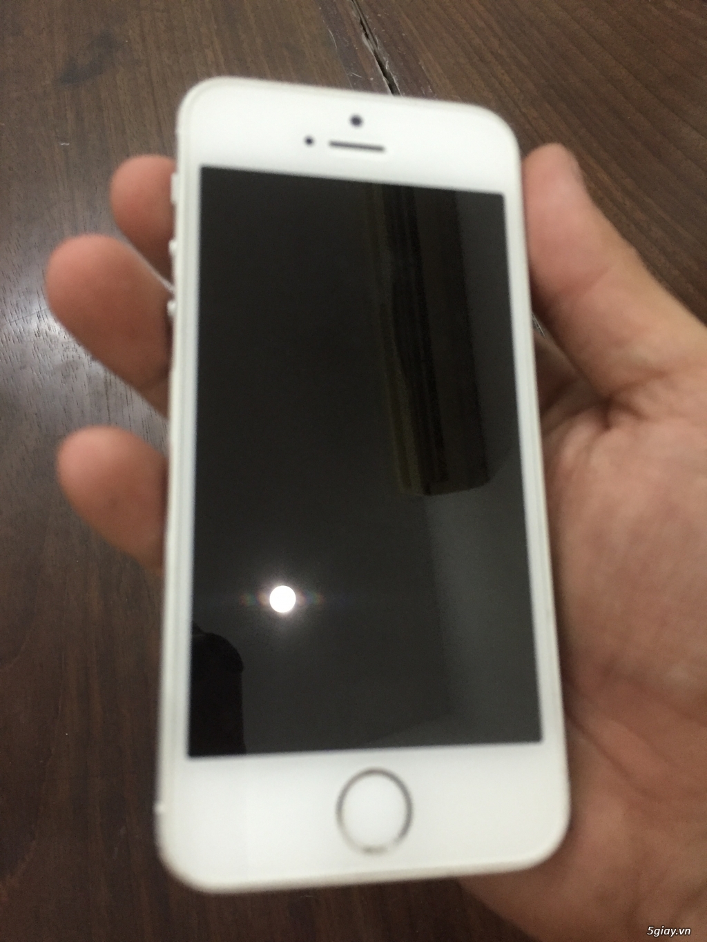 iPhone 5S Trắng