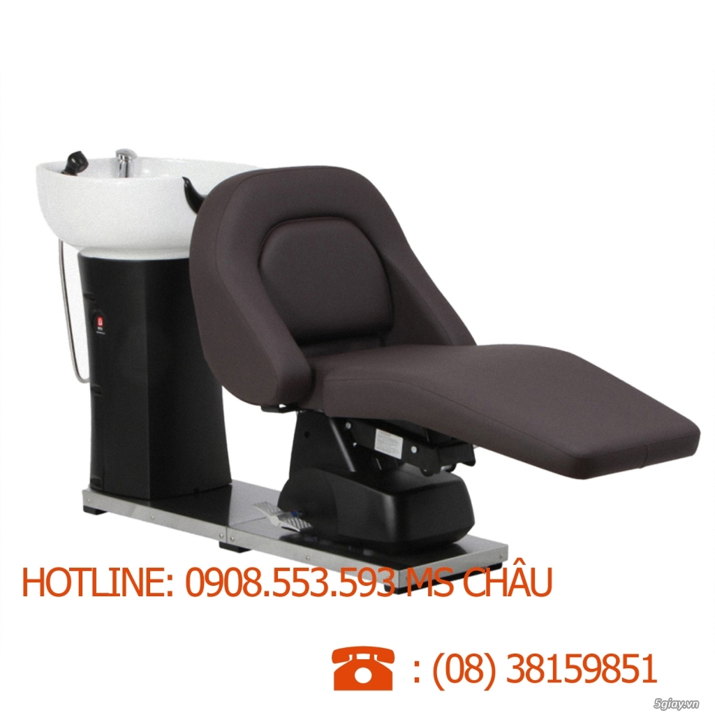 Ghế Buce. Sự lựa chọn hoàn hảo cho các Salon trên thế giới.