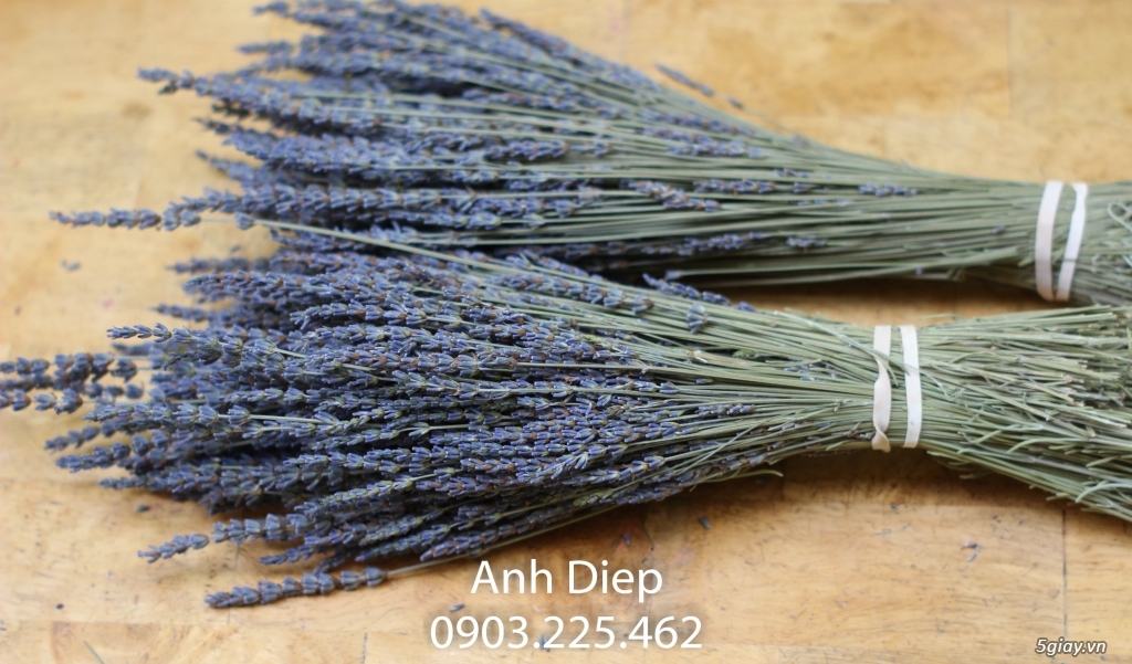 Hoa Khô Lavender từ Mỹ cho ngày Tết thêm Hương Thơm