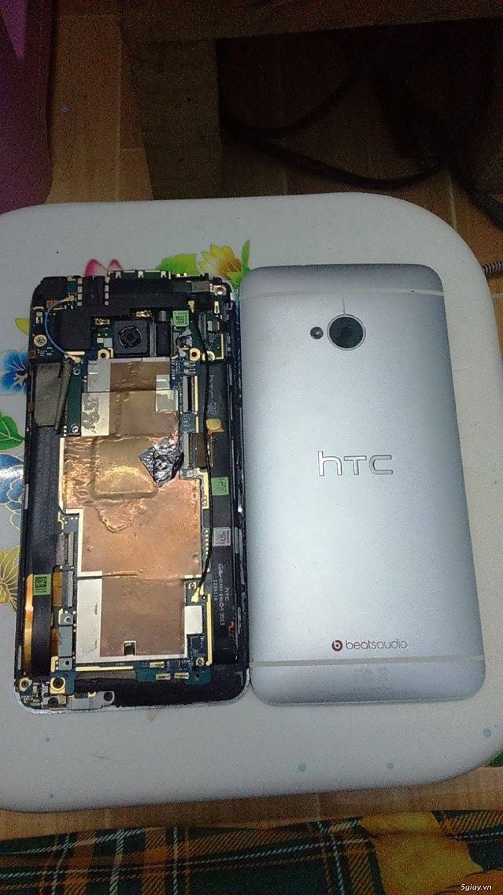 HTC M7 và Samsung Y ra đi bèo nhèo ^^ - 4