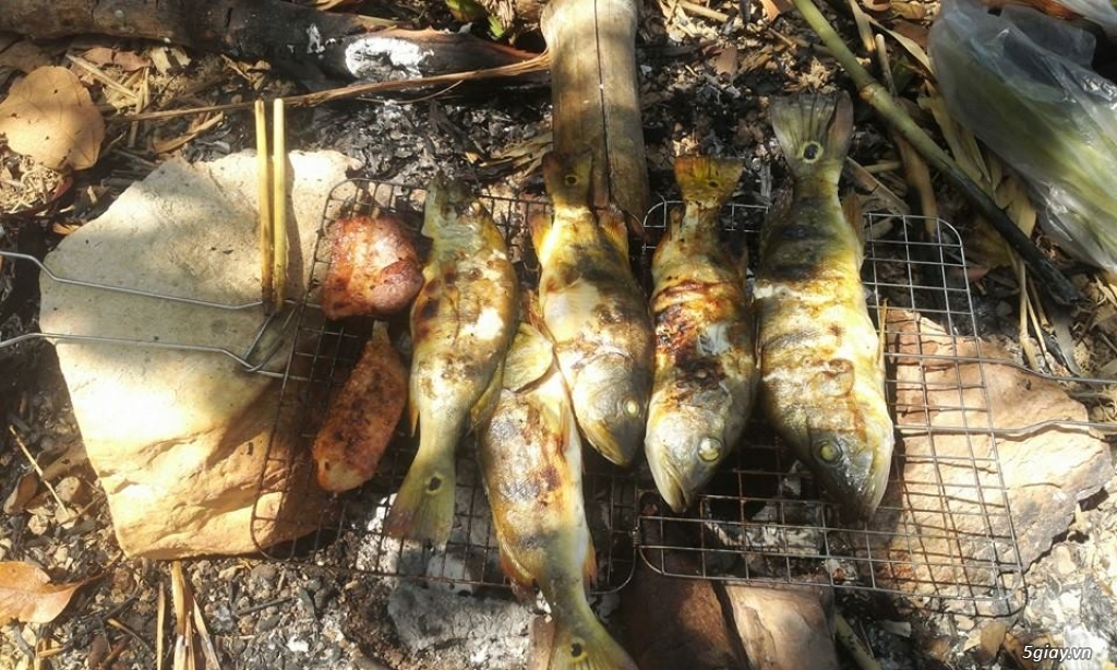 1 bữa đi câu cá dã ngoại của anh em 5giay trên hồ  Trị An - 3