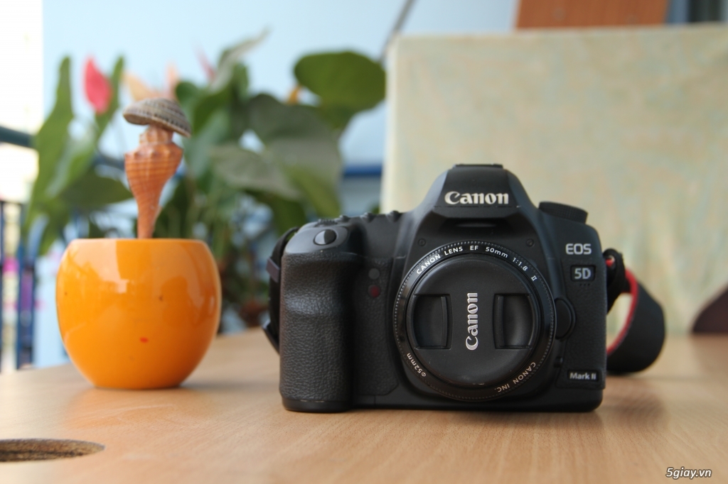Canon 5D Makr II mới 98%, máy chụp 20k shot - 3