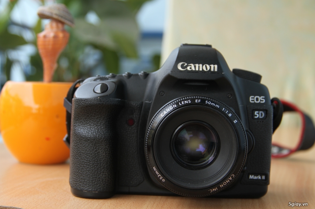 Canon 5D Makr II mới 98%, máy chụp 20k shot - 4