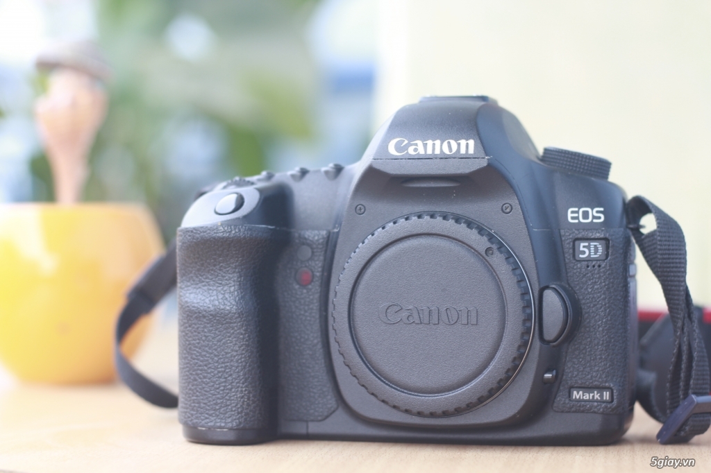 Canon 5D Makr II mới 98%, máy chụp 20k shot - 1