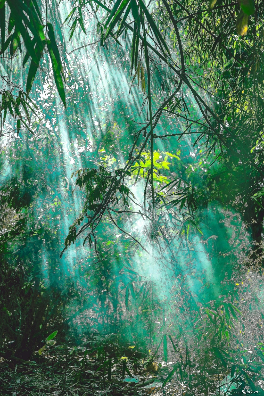 1 bữa đi câu cá dã ngoại của anh em 5giay trên hồ  Trị An - 3