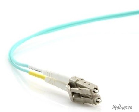 Thiết bị mạng 10Gb Switch, Card mạng, module quang - 10