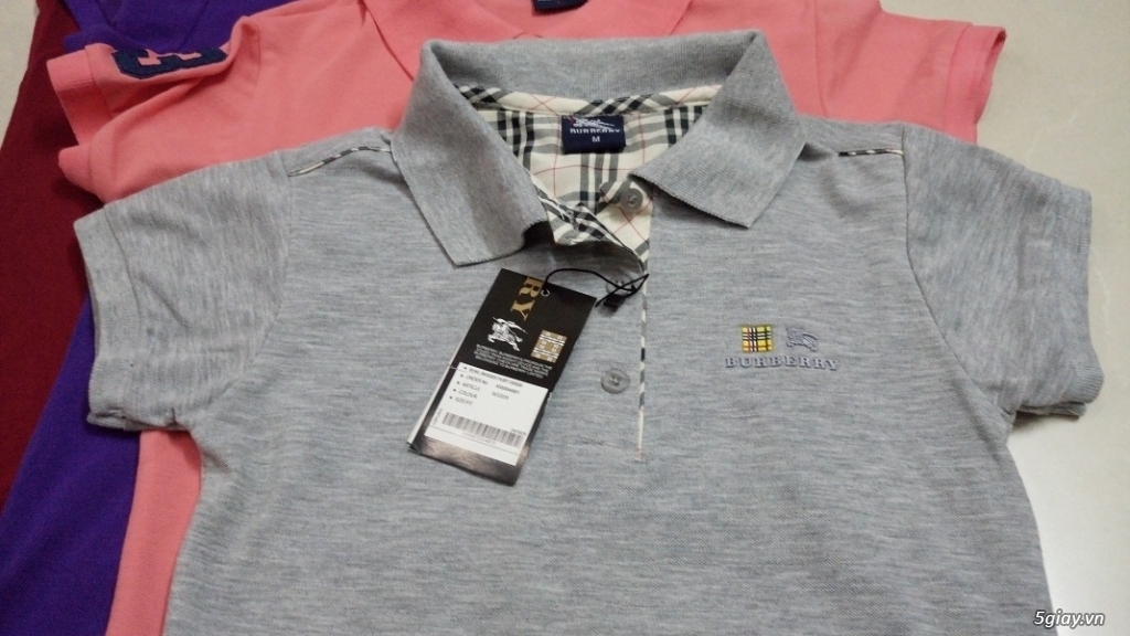 Polo shop burberry 5giay