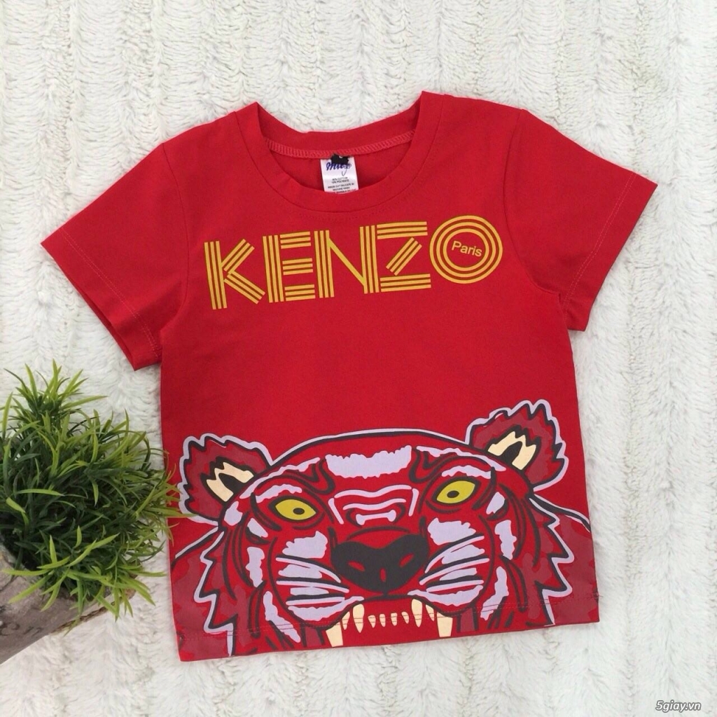 Mity Fashion chuyên đổ buôn quần áo trẻ em Made in VN chất lượng cao - 2