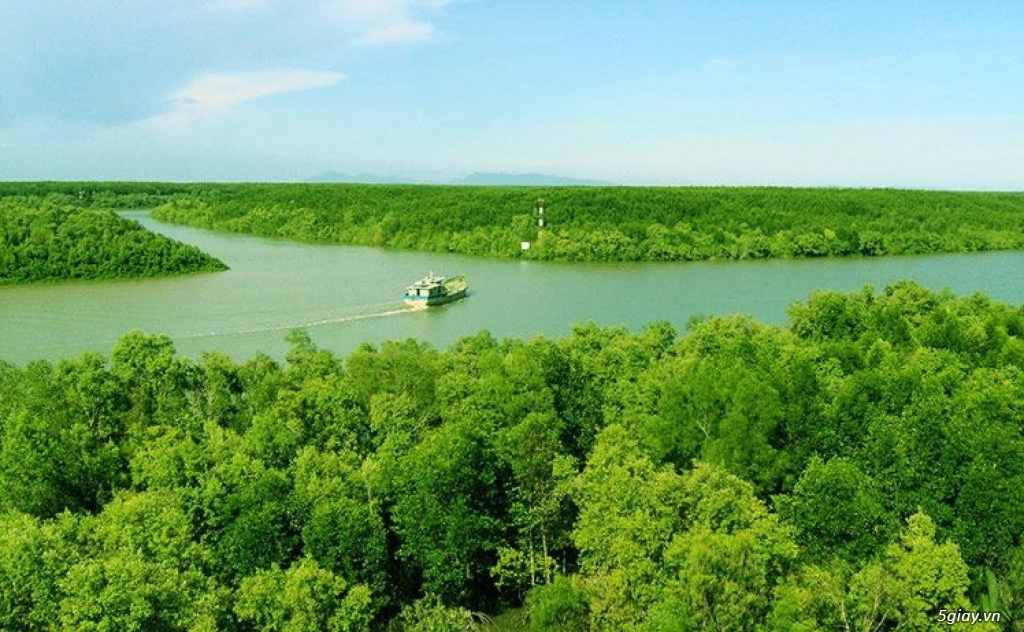 CAN GIO VAM SAT MANGROVE FOREST- FULL DAY ECO TOUR