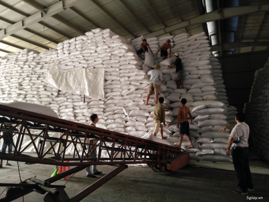 Dịch vụ đại lý kho vận giá rẻ, tốt, hợp lý nhất quận Hải An- Hải Phòng - 1