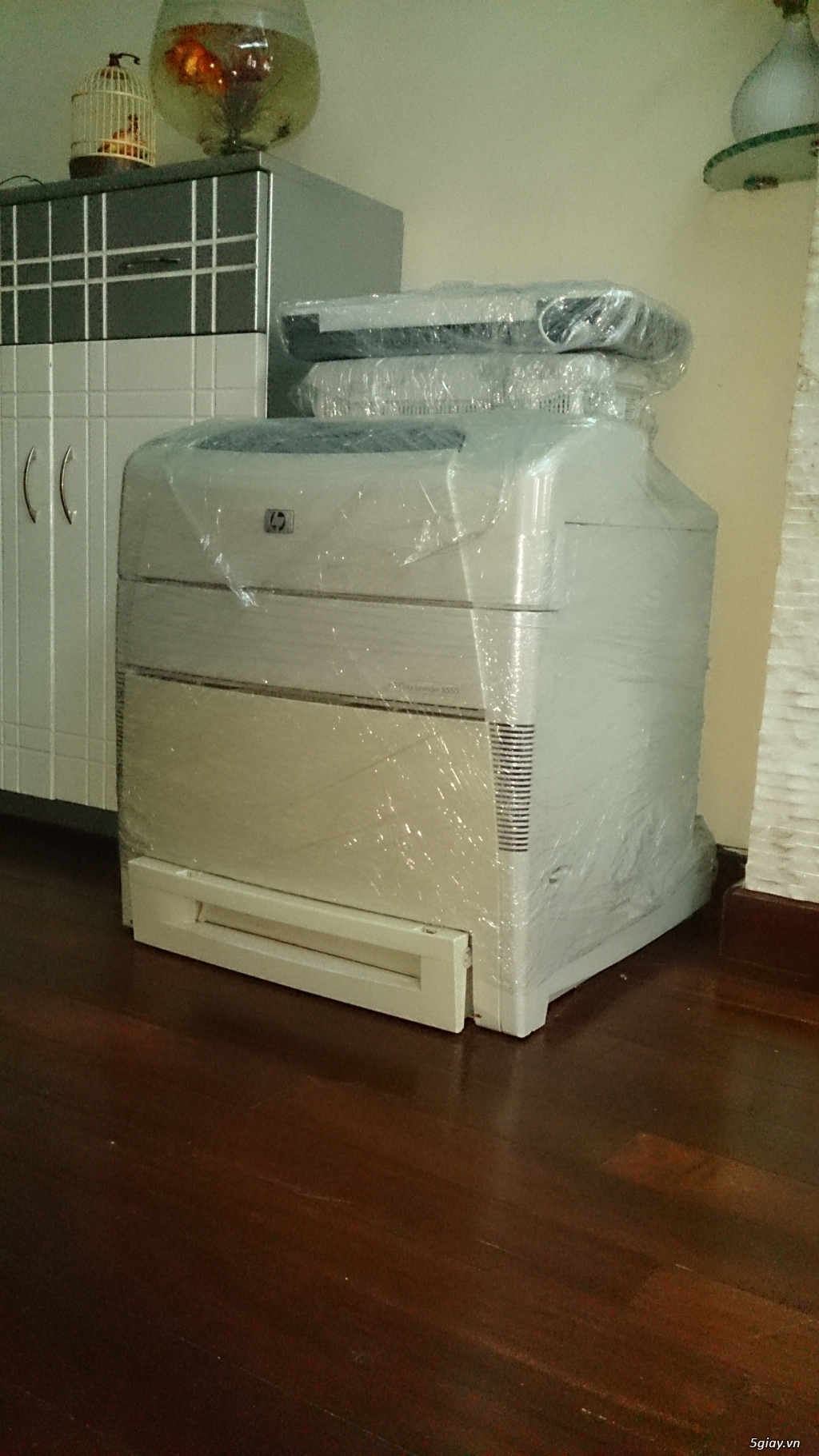 MÁY IN HP 5550 IN MÀU A3, A4