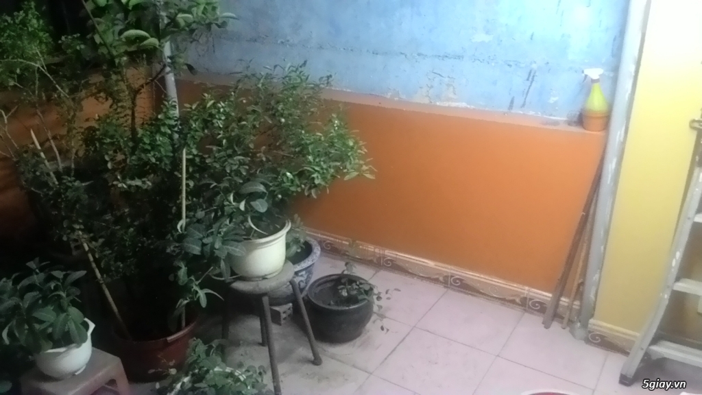 nhà 2 tấm rưỡi ngay trung tâm quận 11 Cần Bán Gấp  (Vào ở ngay) - 16