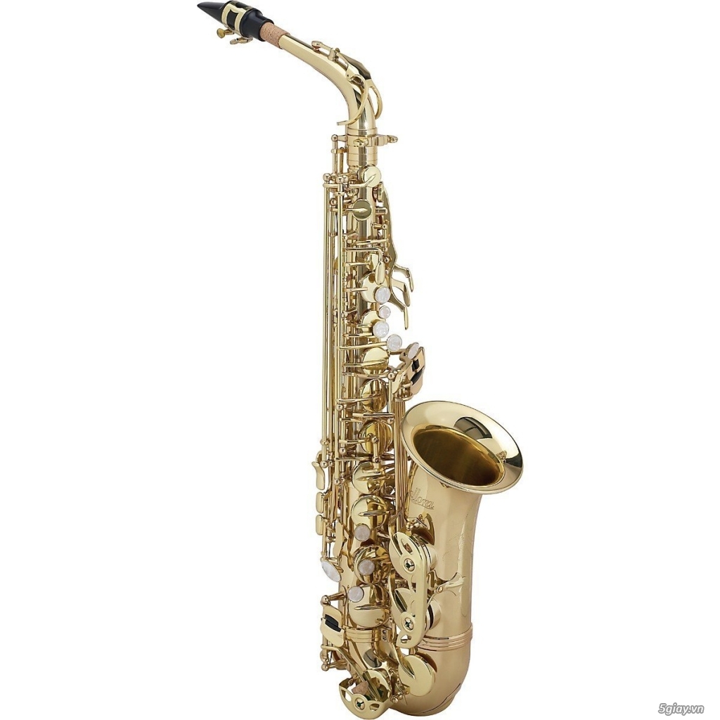 Allora Student Series Alto Saxophone Model AAAS-301