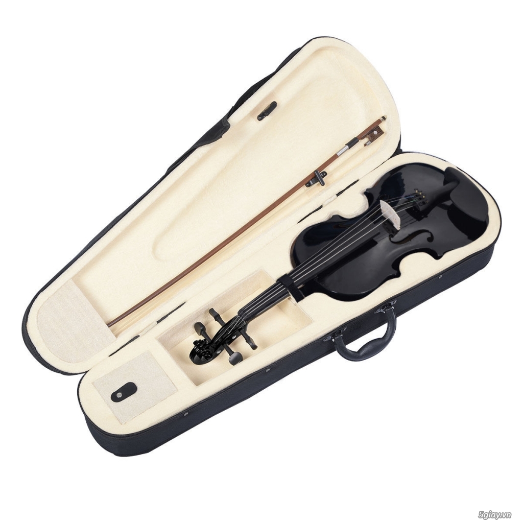 Violin Fiddle màu đen huyền diệu từ Ebay,Amazon
