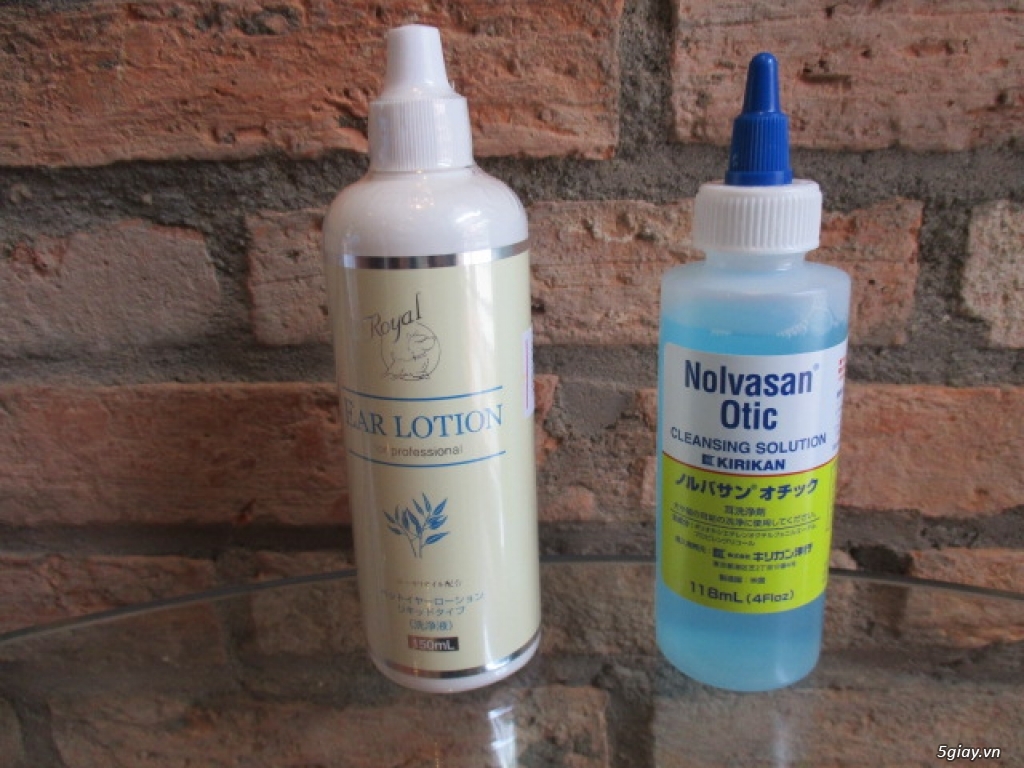 Vật dụng, phụ kiện cao cấp (made in Japan) dành cho thú cưng - Tokyo Pet Center, Phú Nhuận, TPHCM - 15