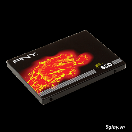 Router Draytek vigor 2930 ,SSD 240g PNY cho game thủ đây - 1