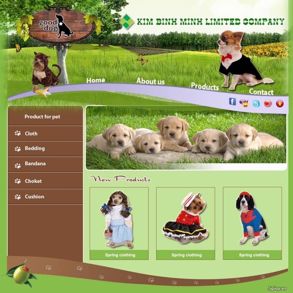 Thiết kế Website chuẩn SEO , phần mềm hỗ trợ kinh doanh cho Công ty và Doanh Nghiệp - 1