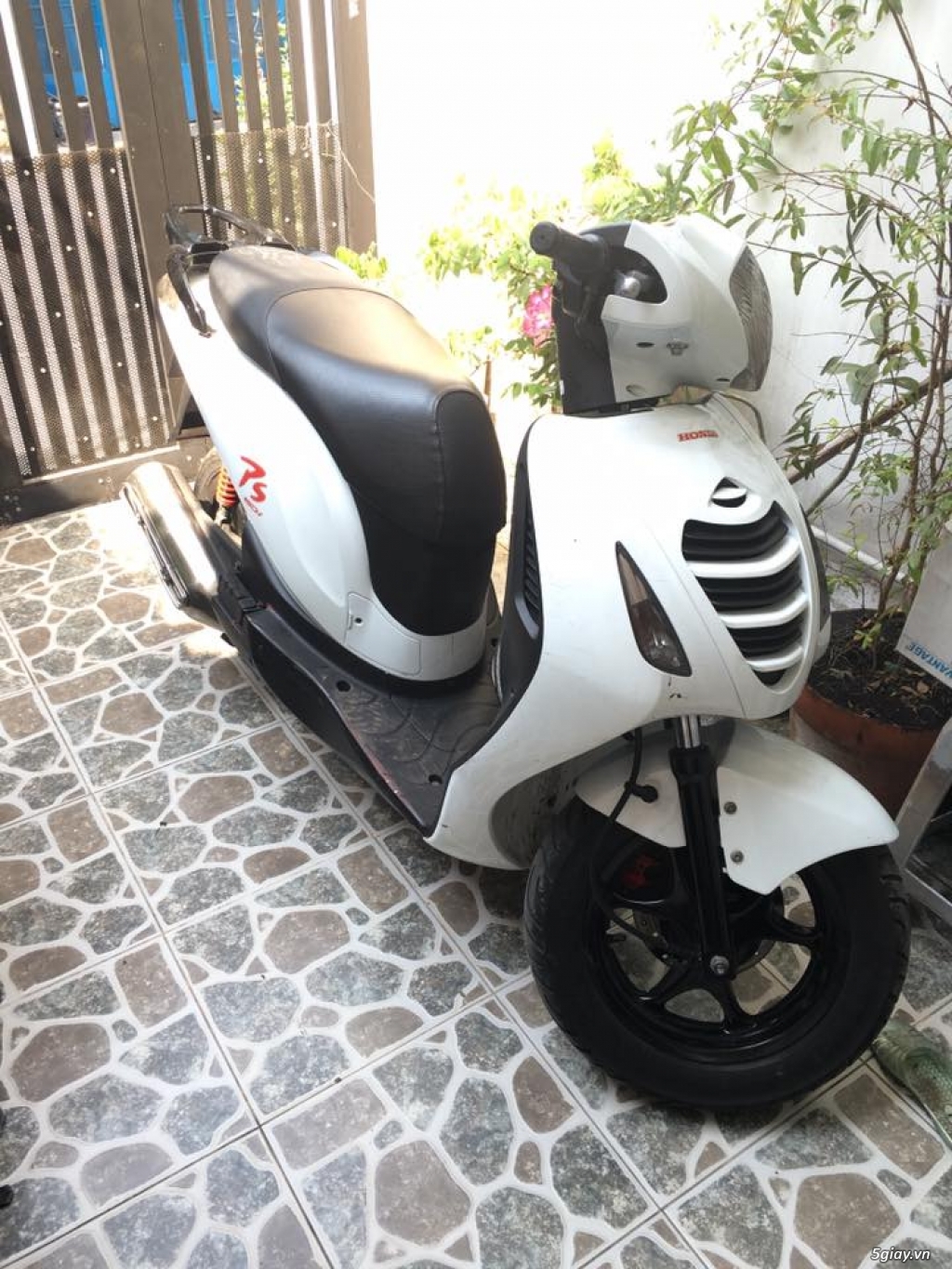 Honda Psi Mystery Solved: The Ultimate Guide! - a1pju5b