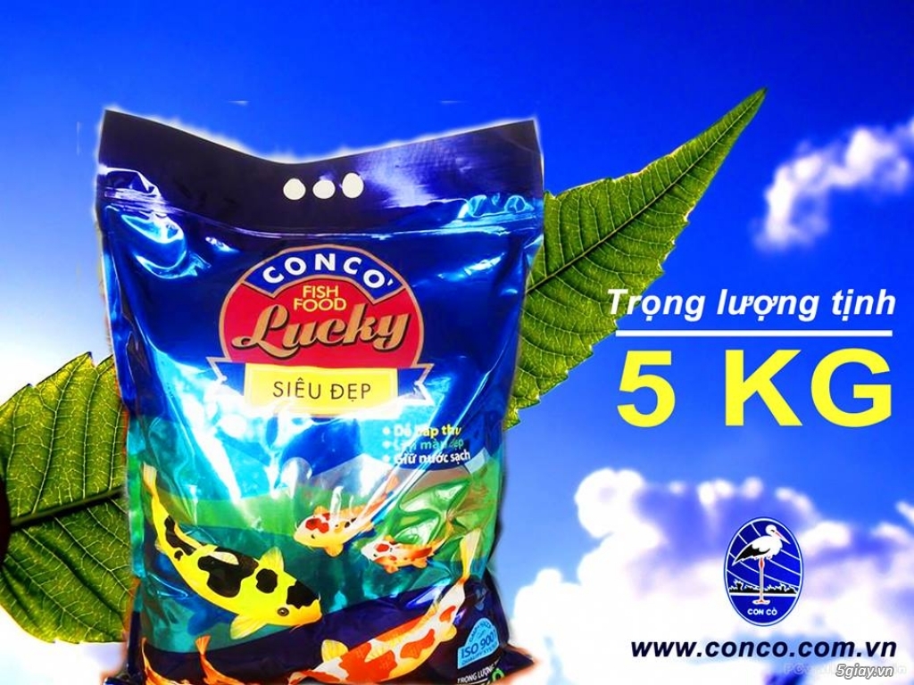 Thức ăn cá Koi - Lucky Siêu Khỏe, Lucky Siêu Đẹp - Proconco