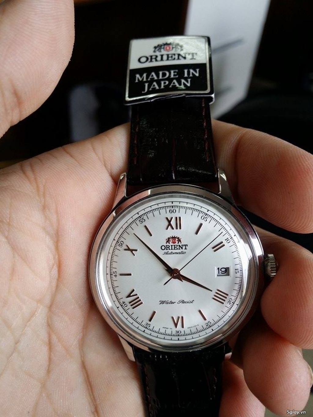 Đồng hồ xách tay Nhật, Mỹ: Seiko , Orient. - 12