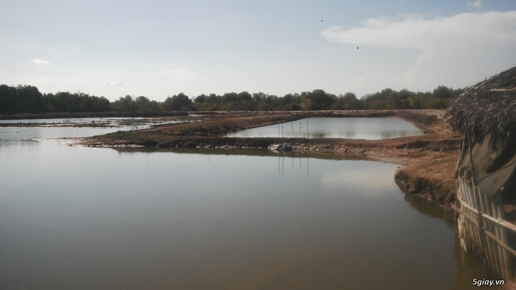 Bán đất đùng nuôi thủy sản tại xã Lộc An , huyện Long Đất, BR-VT. - 5