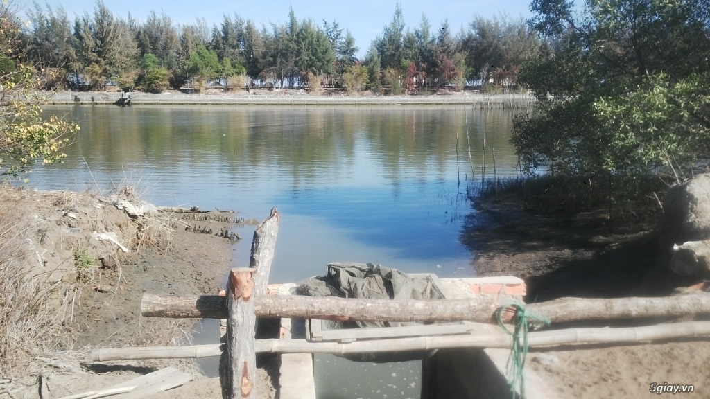 Bán đất đùng nuôi thủy sản tại xã Lộc An , huyện Long Đất, BR-VT. - 8