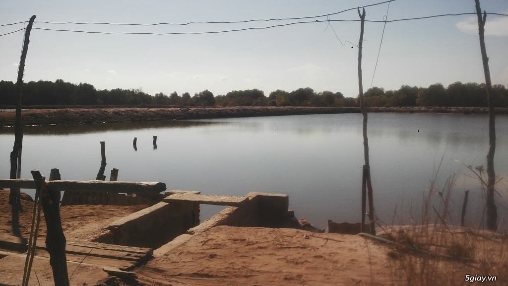 Bán đất đùng nuôi thủy sản tại xã Lộc An , huyện Long Đất, BR-VT. - 15