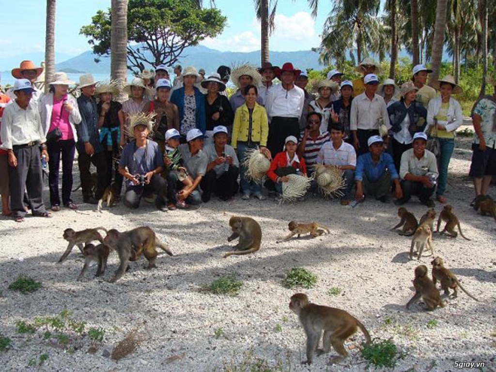 tour đảo khỉ tại nha trang