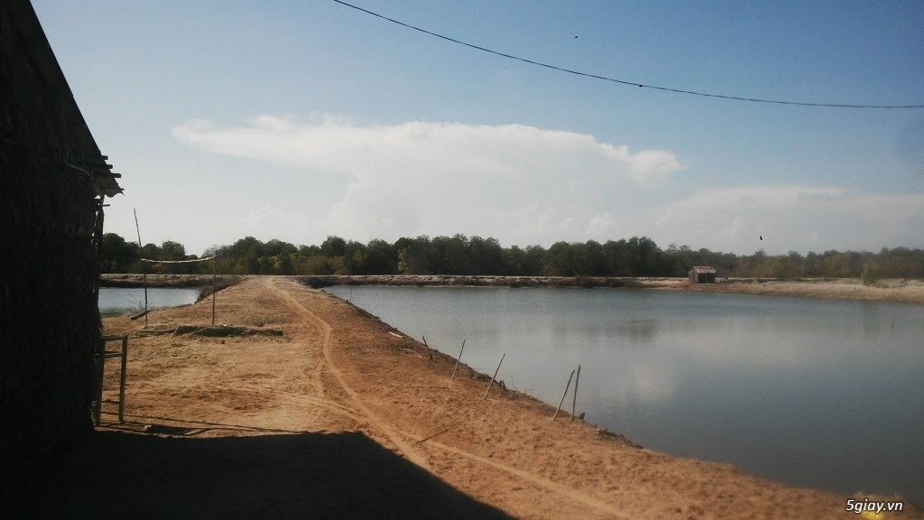Bán đất đùng nuôi thủy sản tại xã Lộc An , huyện Long Đất, BR-VT. - 10